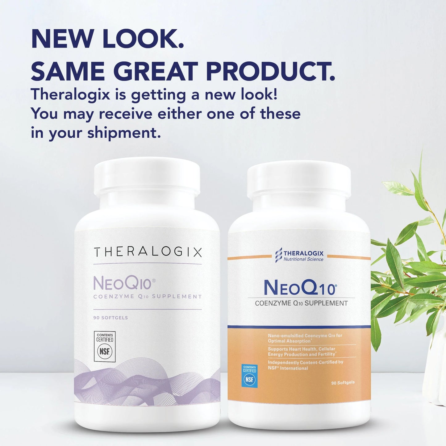 NeoQ₁₀ Coenzyme Q₁₀ (CoQ₁₀) Supplement (90 count)